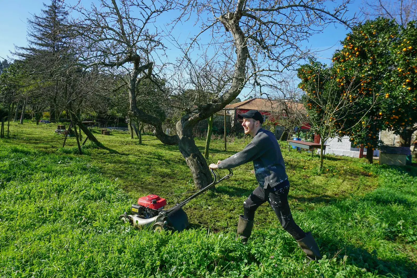 Crew member walking a self-propelled mower along the long edge of a green lawn.